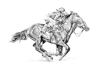 Rennpferd und Jockey