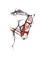 Rotes Zaumzeug Pferd Skizze