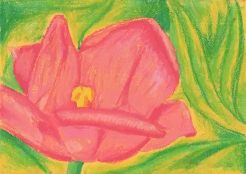 Lebhafte rosa Blüte