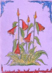 Lebendige Rote Blüten