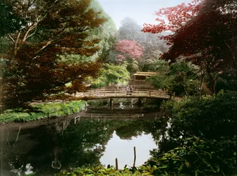 Japanischer Ziergarten in Blüte