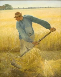 Ernte