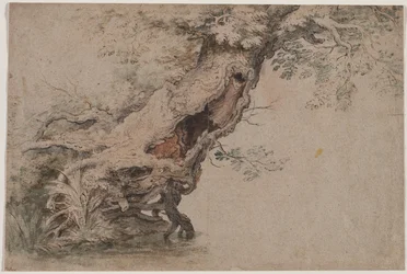 Hohler Baum, nach Roelant Savery, nach 1670