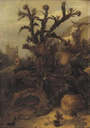 Distel, Kürbis und eine Ziege