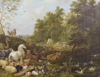 Die Schöpfung