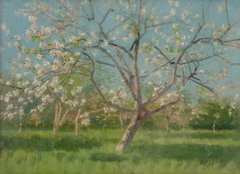 Obstbäume in Blüte, 1900-10