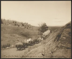 "Jerk-line twelve" auf der alten Frachtstraße