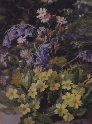 Studie von Blumen