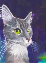 Katzenhund, um 2023