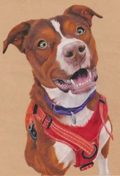 Penny, c.2024