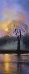 Bushy Park Dämmerung, 2016