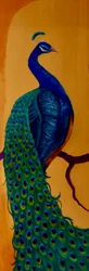 Pfau I, 2023