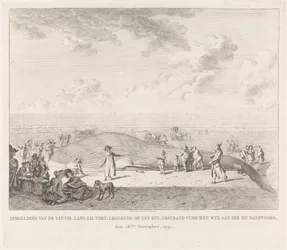 Finnwal am Strand von Zandvoort angespült