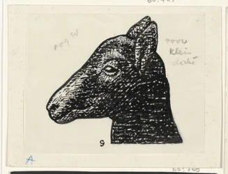 Kopf eines Lamms