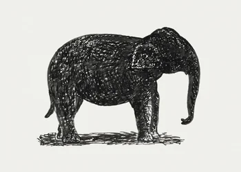 Elefant (ca. 1891–1941)