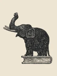 Elefant auf Buch 1935