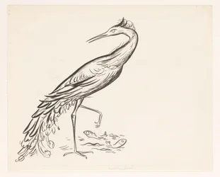 Reiher am Wasser mit zwei Fischen bei seinen Pfoten