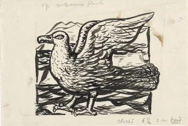 Möwe