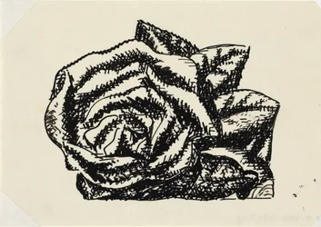 Ohne Titel (Rose)