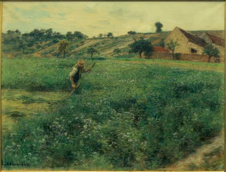 Mäher im Luzernen-Feld