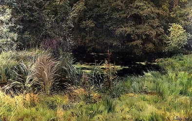 Landschaft mit Schilf