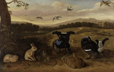 Schwarzes Federwild, Kaninchen und Schwalben in einem Park, um 1700