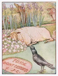 Und die Schafe gingen schlafen, Illustration aus 