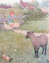 Baa, Baa, Black Sheep