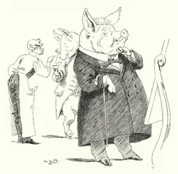 Barbier, Barbier, rasiere ein Schwein; wie viele Haare machen eine Perücke?
