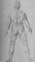 Ein nackter Mann von hinten gesehen, ca. 1480
