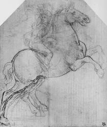 Ein Reiter auf einem steigenden Pferd, ca. 1480, 1945