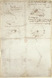 Drei Notizen und Skizzen über Wasser; ein Diagramm über den Vogelflug, ca. 1500-5