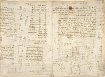 Notizen, Diagramme und mathematische Berechnungen, betitelt 