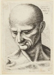 Kahlköpfiger Mann
