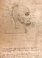 Zeichnung des Kopfes eines Kriminellen, um 1472-1519, 1883