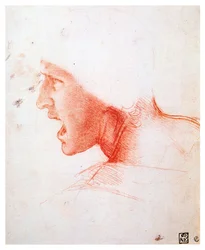 Kopf eines schreienden Mannes im Profil nach links, 1503-1504