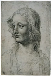 Maestro della Pala Sforzesca (Mailänder Schüler von Leonardo da Vinci), Frauenkopf mit Schleier, vielleicht eine Studie für die Jungfrau, GDSU 426 E