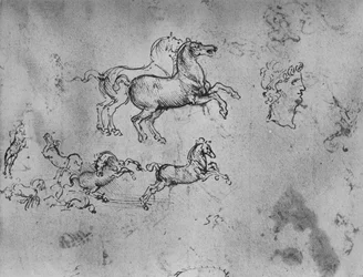 Studien von galoppierenden Pferden und einem Kopf, ca. 1480, 1945