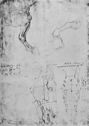 Studien von Pferde-Vorderbeinen und gemessene Zeichnungen von Pferdeköpfen