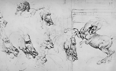 Studien von Pferdeköpfen und einem steigenden Pferd, ca. 1480-1945