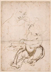 Studie für die Madonna mit einer Obstschale, ca. 1478