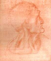 Studie für den Kopf von Judas in `Das letzte Abendmahl`, ca. 1494-ca. 1499