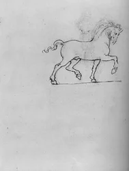 Studie eines Pferdes, ca. 1480, 1945