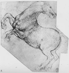 Studie eines sich aufbäumenden Pferdes, ca. 1480, 1945
