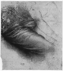Studie eines Gewandes für St. Anna, 1503-1517