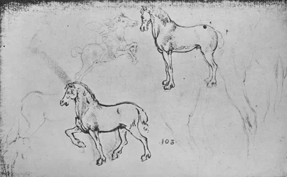 Zwei Studien von Pferden, eine von einem galoppierenden Reiter und andere von Pferdebeinen, ca. 1480, 1945