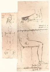 Zwei Zeichnungen zur Theorie der Proportionen der menschlichen Figur, ca. 1472-ca. 1519, 1883