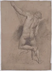 Männlicher Rückenakt