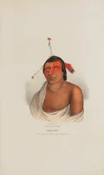 PE-A-JICK; Ein Chippewa-Häuptling, aus The Aboriginal Portfolio