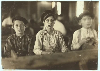 Jungen machen Zigarren bei Englehardt und Co, Tampa, Florida, 1909